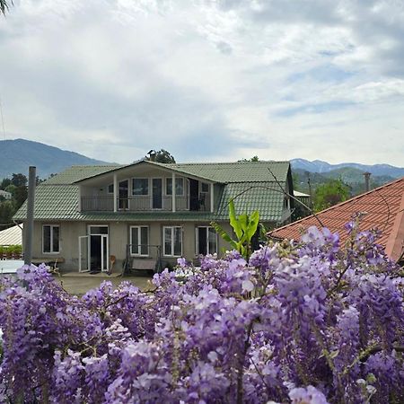 Olga'S Home Batumi Kültér fotó
