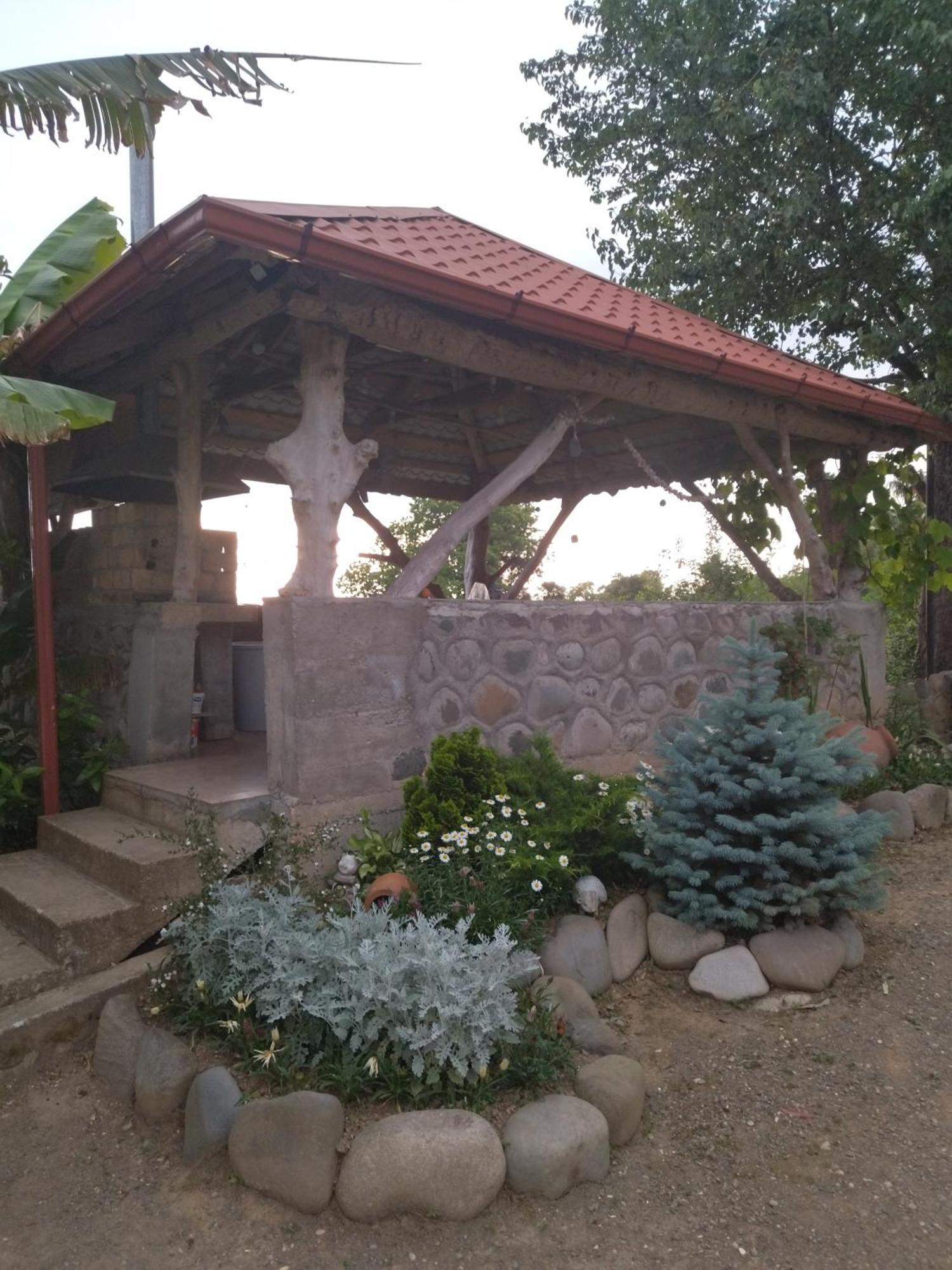 Olga'S Home Batumi Kültér fotó