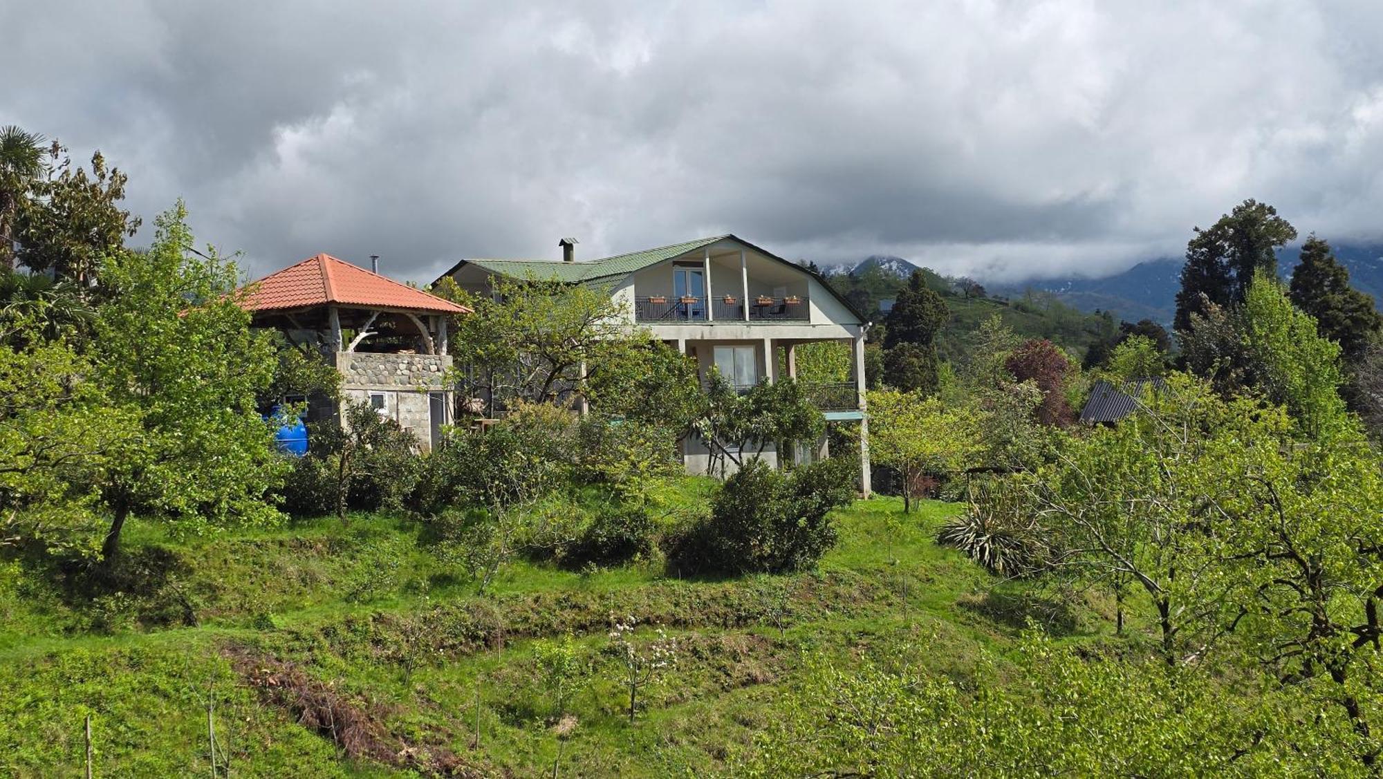 Olga'S Home Batumi Kültér fotó