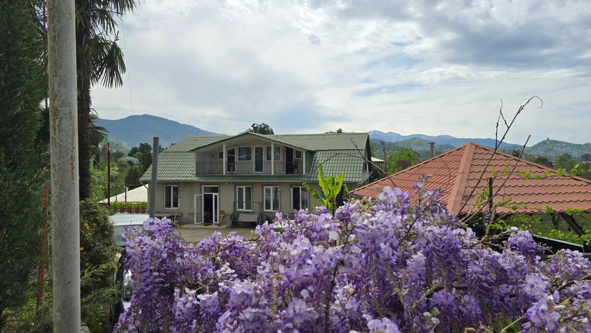 Olga'S Home Batumi Kültér fotó