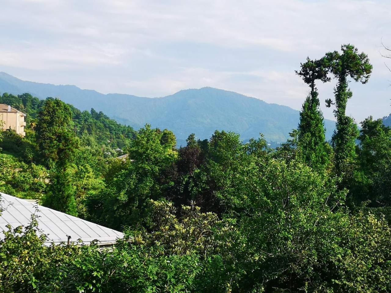 Olga'S Home Batumi Kültér fotó